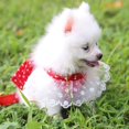 thumbnail image 3 of Princess Dog Harness With Bowknot and Leash For Outdoor Walking, 3 of 6