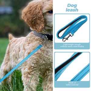 Raindrops Sky-Blue Round Ergonomic Grip Lightweight Dog Leash for Pet Walking Training 1Set 120in