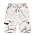 thumbnail image 2 of DPTALR Men's Plus Size Cargo Shorts Multi-Pockets Relaxed Summer Beach Shorts Pants, 2 of 3