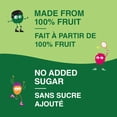 thumbnail image 3 of GoGo squeeZ Fruit Sauce Snack Pouches Variety Pack, Apple Apple, Apple Raspberry Lemon Twist, Apple Mango, No Sugar Added. 90g per pouch, Box of 12 Pouches, 3 of 7