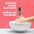 thumbnail image 3 of Softsoap Limited Edition Cherry Blossom Liquid Hand Soap, 221ml Pump Bottle, 3 of 9