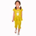 thumbnail image 2 of Chemises pour Filles, Ensemble Deux Pièces Été Col Rond Petit Imprimé Manches Courtes Manches Volantes Taille Élastique Pantalon Court, 2 of 5