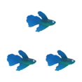thumbnail image 1 of Thinsony Poissons Rouges Artificiels Lumineux Magnifiquement Conçus pour Aquariums Tan Bleu 3Set, 1 of 6