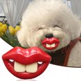 thumbnail image 1 of Jouet pour Animaux de Compagnie Suce Jouet en Silicone pour Dentition – Design Lèvres Rouges TPR Silicone pour Jeu Intérieur Extérieur Entraînement Apaisant Anneau de Dentition pour Animaux, 1 of 5