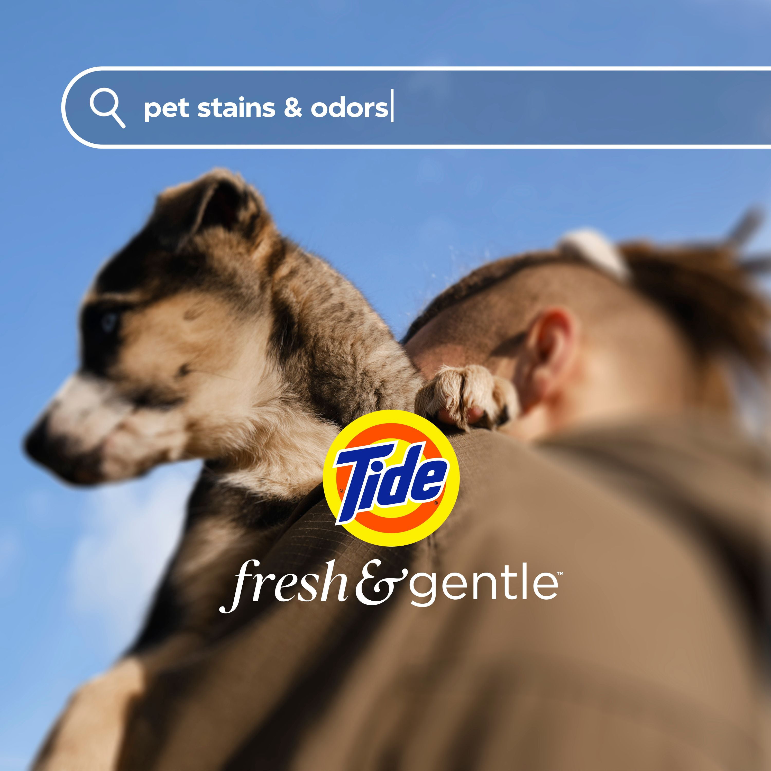 Tide Fresh & Gentle liquid laundry detergent, 100 Loads, Soft Lavender Scent, Gentle laundry soap with nature inspired freshness, Dermatologist tested, 100% free of added dyes and heavy perfumes
