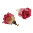 thumbnail image 1 of 2 Pcs Breloques en Résine Fleurs Réelles pour Apprêts de Bijoux Artisanat pour Femmes Fleur, 1 of 8