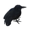 thumbnail image 4 of kurtrusly Horror Props For Halloween - High Simulation Black Crow Ornament For Festive Flying Crow 5Set, 4 of 6