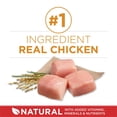 thumbnail image 4 of Purina ONE Chicken & Rice Formula, Dry Dog Food 14kg, 4 of 8