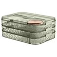 thumbnail image 1 of Grande Capacité Multi Couches Récipient de Stockage des Aliments avec Couvercle Anti-Poussière Classification des Aliments Organisation Facile Nettoyage Réfrigérateur Boîte de Stockage des Aliments, 1 of 12