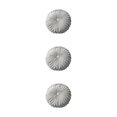 thumbnail image 1 of kurtrusly Versatile And Comfortable Seat Cushion For Relaxation Simple Decorative Cushion Skin Friendly light grey 38CM 3Set, 1 of 1