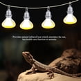 thumbnail image 4 of Light 220-230V Night Heat Light Lamp Bulb For Bird Snake Reptile Pet Amphibian 75W, 4 of 8