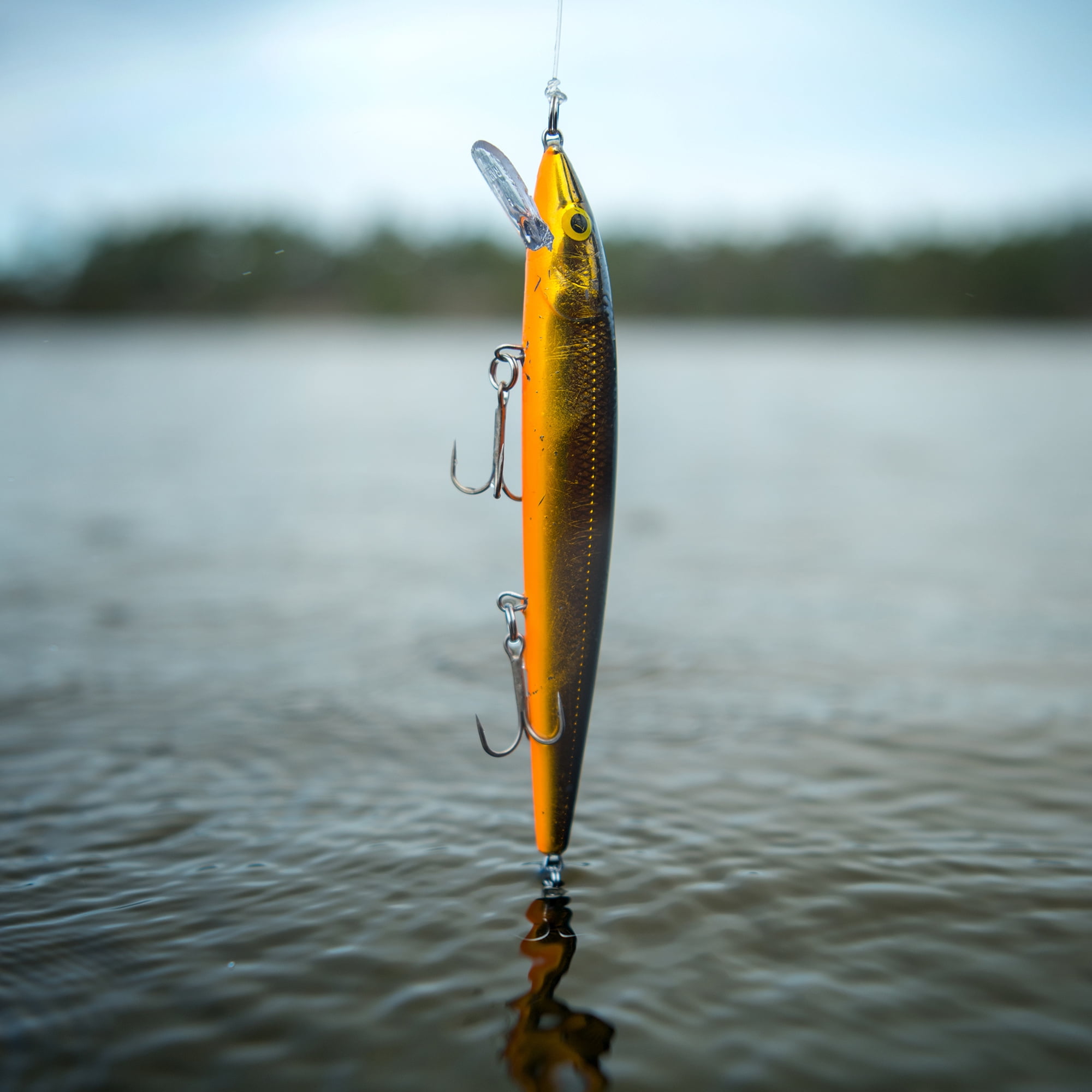 Rapala Husky Jerk 10 cm, leurre dur Argent Bleu