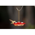 thumbnail image 4 of More Birds 3-in-1 Hummingbird Feeder - Red Hanging Multi-Use Feeder with 6oz Nectar Capacity & Bee Guard, 4 of 4