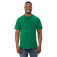 thumbnail image 1 of Fruit Of The Loom T-Shirt à Col Rond à Manches Courtes en Coton HD pour Hommes, m, 1 of 2