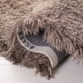 thumbnail image 2 of Safavieh Paris Darwin Plush Shag Area Rug, 2 of 7