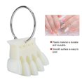 thumbnail image 1 of Nail Display Stick, Nail Show Nail Color Card, Ideal Choice Easy To Color For Home Beauty Salon, 1 of 8
