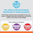 thumbnail image 4 of Nylabone Puppy Chew Combo Pack, 4 of 4