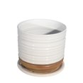 thumbnail image 1 of CERAMIC 6" TEXTURED PLANTERW/ SAUCER, WHITE, 1 of 1