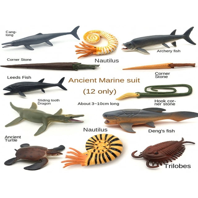 EASTIN 12pcs/Set Realistic Prehistoric Marine Life Toys Multi-Color Simulation Nautilus Trilobite Cambrian Extinction Organism Dunkleosteus Ammonite Fossil Models Educational Gift F