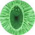thumbnail image 1 of Ahgly Company Tapis d'Intérieur Lavable en Machine Carré Vert, 3 Pieds Carré, 1 of 7