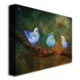 thumbnail image 4 of Trademark Fine Art "Three Little Blue Birds" Canva, 4 of 4