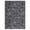 Dark Gray, variant on FairOnly 5'x7' Solid Area Rugs Ultra Soft Washable Rug, Modern Abstract Rug with Non Slip Backing Low Pile Indoor Carpet for Living Room Bedroom Dining Room, Brown