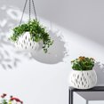thumbnail image 4 of Zenithome Panier de Plantation Suspendu en Rotin avec Conception de Barrière à l'Eau Empêche la Rotation des Racines Pot de Plante en Plastique Intérieur Extérieur pour Succulentes Lierre, 4 of 6