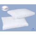 thumbnail image 2 of Highland Feather - Down Touch™ Pillow, 2 of 2