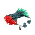 thumbnail image 3 of Novelty Lights 70 Light C6 LED Christmas Mini Light Set, Commercial Grade Outdoor String Lights, Red/Green, Green Wire, 24 Feet, 3 of 7