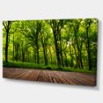 thumbnail image 2 of Green Forest with Dense Woods - Landscape Canvas Art Print, 2 of 3