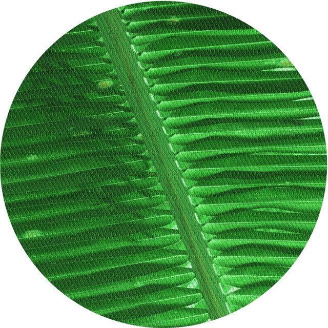 Ahgly Company Tapis d'Intérieur Lavable en Machine Carré Vert Transitionnel, 3 Pieds Carré