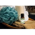 thumbnail image 4 of Homedics Lemongrass Essential Oil `15ml X 6 Pack, 4 of 4
