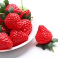 thumbnail image 4 of Coofit Artificial Fruit Decorative Mini 40PCS Plastic Fake Strawberry Photo Prop, 4 of 10