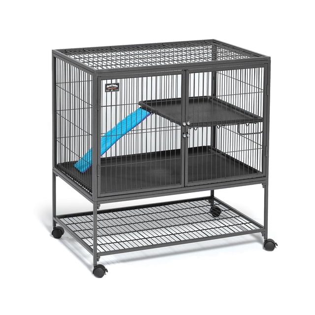 MidWest Ferret Nation cage pour Petits Animaux 36x25x38.5 à Unité Unique en Fil Métallique Noir Mat avec Doubles Portes avant et Loquets à double Verrouillage, Comprenant une Rampe en Plastique Bleue avec Couvercle, Deux Tablettes en Plastique Noir Incluant un Bac Étanche pour un Nettoyage Facile, et une Tablette de Rangement en Fil Inférieur sur Quatre Roulettes Verrouillables, Idéale pour les Furets et Autres Petits Animaux.