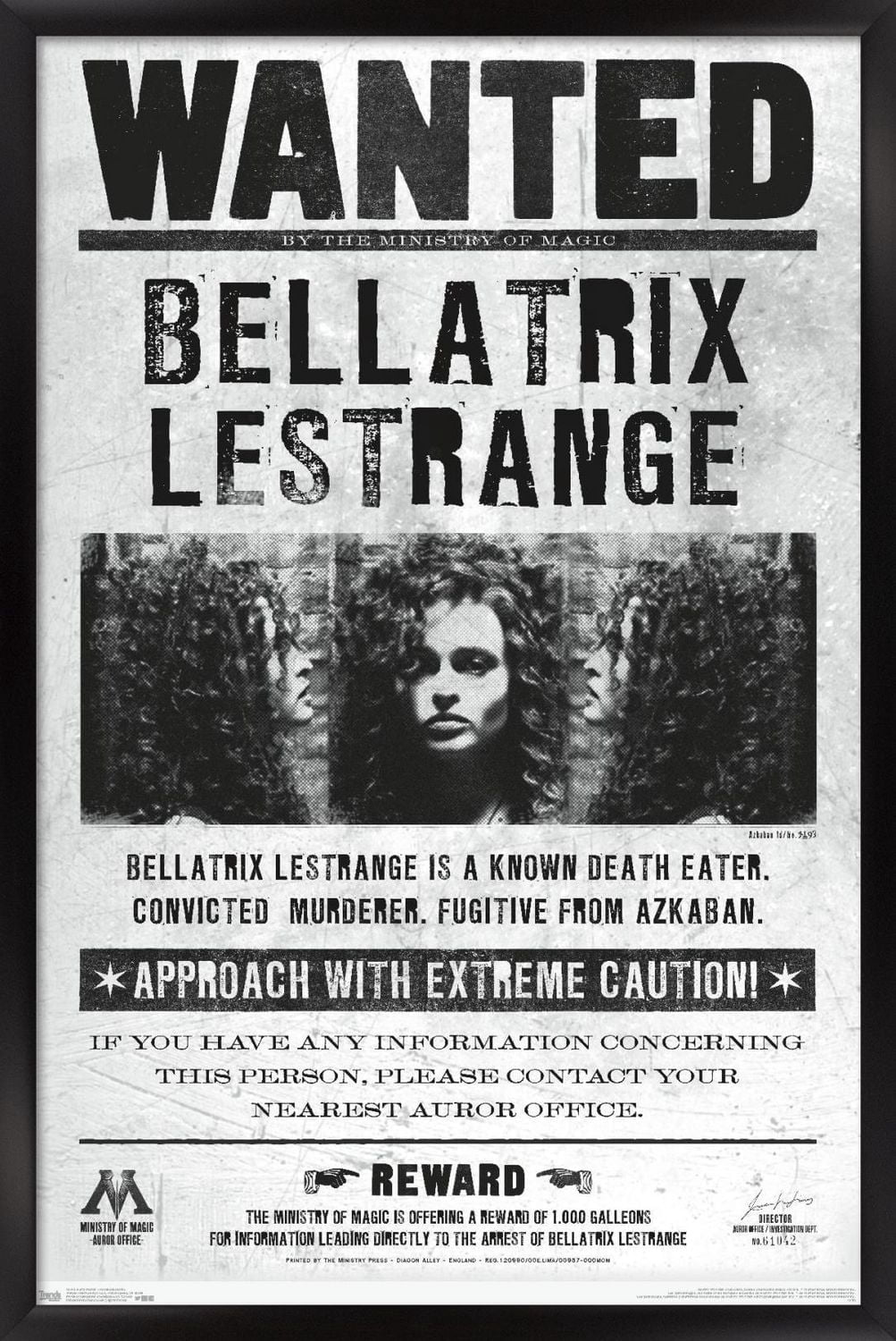Le monde des sorciers: Harry Potter - Bellatrix Wanted Poster