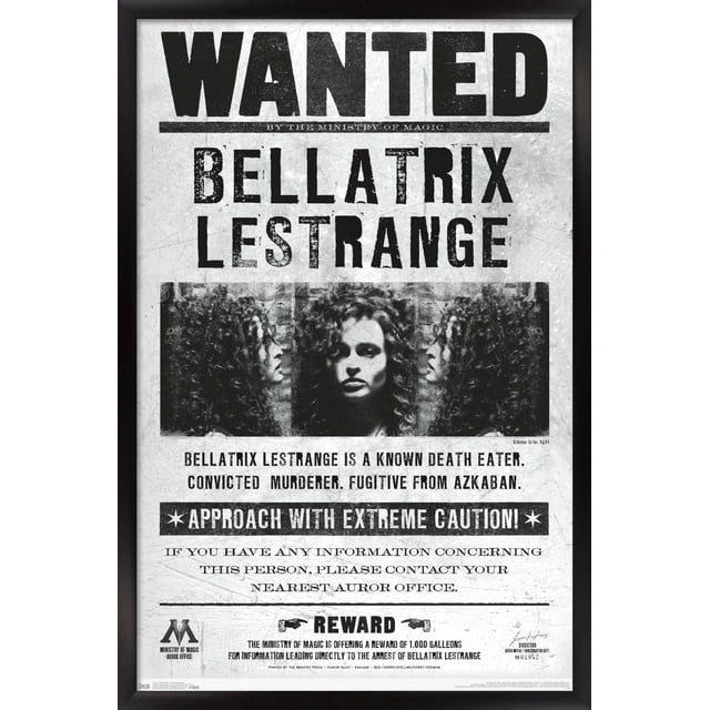 Le Monde des Sorciers : Harry Potter - Affiche Murale de Bellatrix Recherchée, 14,725 Pouces x 22,375 Pouces Affiche d'Un Style Vintage Recherché avec Texte Noir Audacieux « Wanted » et « Bellatrix LESTRANGE ». Elle Comprend des images de Profil Latéral de Bellatrix aux Cheveux Bouclés sur un Fond en Papier Vieilli. l'Affiche la Décrit comme une Mortelle Connue, un Meurtrier Convaincu et une fugitive d'Azkaban, avec un