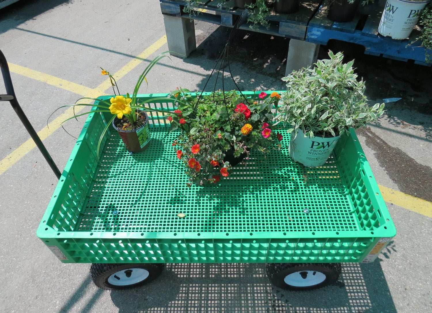Millside Le chariot de caisse