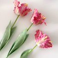 thumbnail image 3 of 1Pc Artificial Flower 68cm 3D Parrot Tulip Real Touch Fake Flower Decor for Home White, 3 of 6