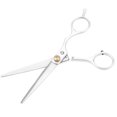 thumbnail image 1 of Spptty Professional Hair Cutting Thining Scissors Set Salon Barber Hairdressing Shear, 1 of 8