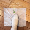 thumbnail image 3 of Earth Rated, Dog Wipes, Unscented, 100 Wipes, 3 of 6