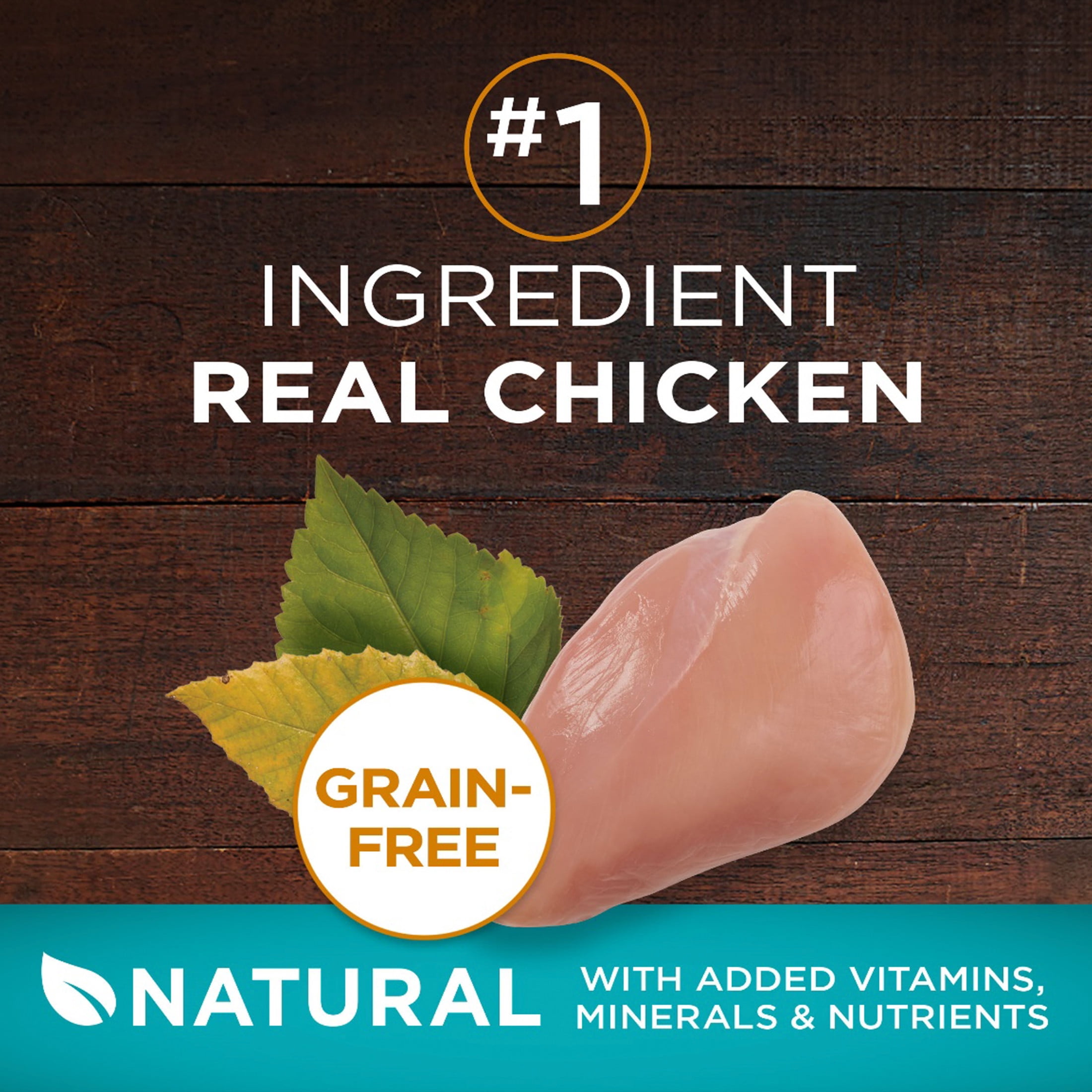 Purina ONE Véritable Instinct Poulet Sans Grains, Nourriture Sèche pour Chats 1.45kg