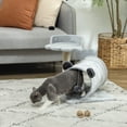 thumbnail image 2 of PawHut Small Cat Tree, Cat Tower with Tunnel, Scratching Post, Bed, Grey, 2 of 10