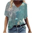 thumbnail image 1 of Birdeem T-Shirt à Col en V pour Femmes, Mode Décontractée, Grande Taille, Imprimé de Fleurs Pittoresques, 1 of 1