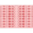 thumbnail image 1 of Ahgly Company Machine Washable Indoor Rectangle Transitional Light Red Pink Area Rugs, 2' x 4', 1 of 7