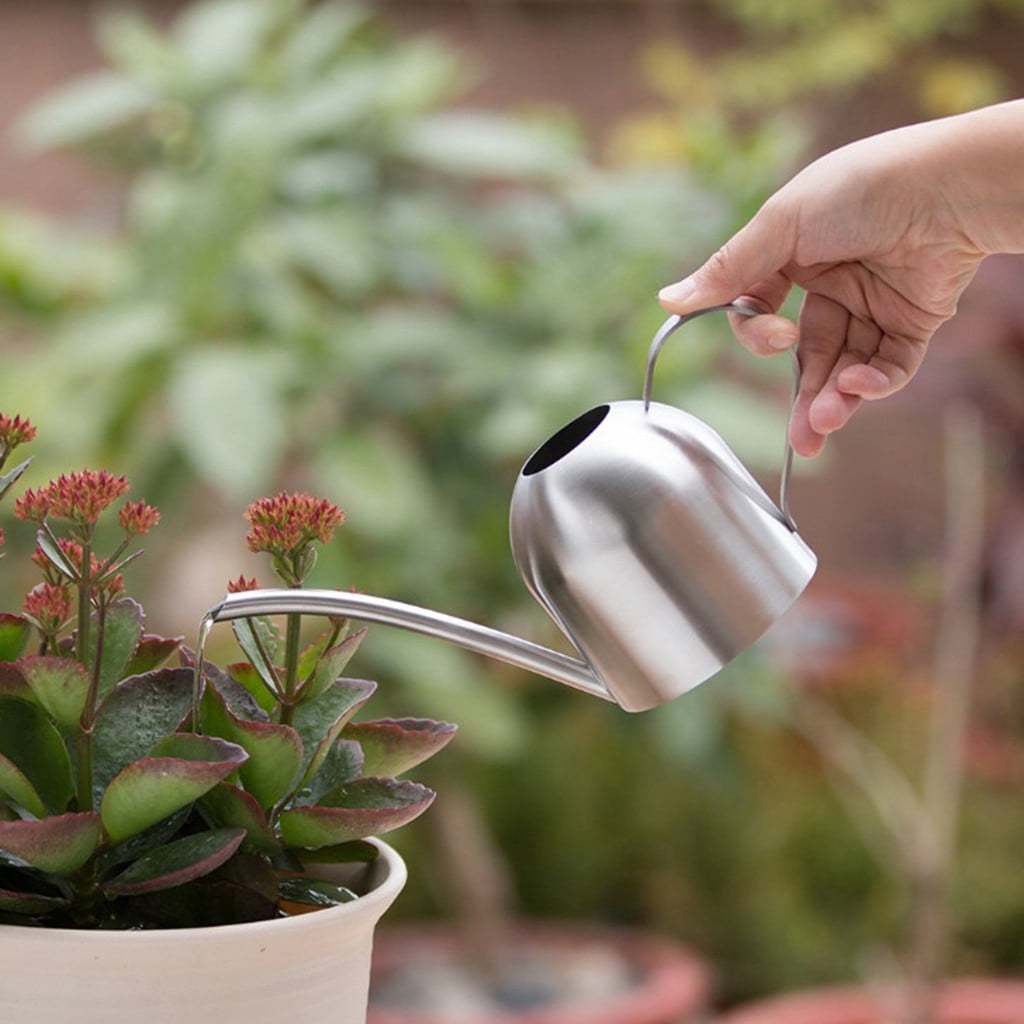 pstuiky Stainless Steel Watering Can Long Spout 500Ml Small Indoor Waterer for Bonsai Houseplants No Spill Garden Tool