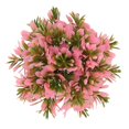thumbnail image 1 of Artificial Aquarium Grass Ball, Decoration Fish  Plastic Grass Ball Vibrant Color High Simulation Colorfast  For Aquarium For Playground Green,Yellow,Pink, 1 of 8