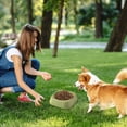 thumbnail image 4 of Durable Reusable Pet Feeding Bowls Bulk Set For Puppy Birthday Party And Daily Meals, 4 of 4