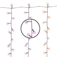 thumbnail image 3 of Way to Celebrate Halloween 150-Count Battery Operated Color Changing 8-Function LED Garland Wire Lights, Indoor/Outdoor, 3 of 4