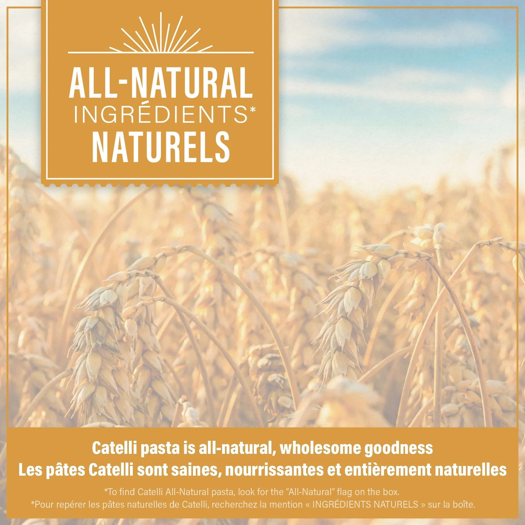 Catelli Classic All-Natural Spaghetti Pasta 900g
