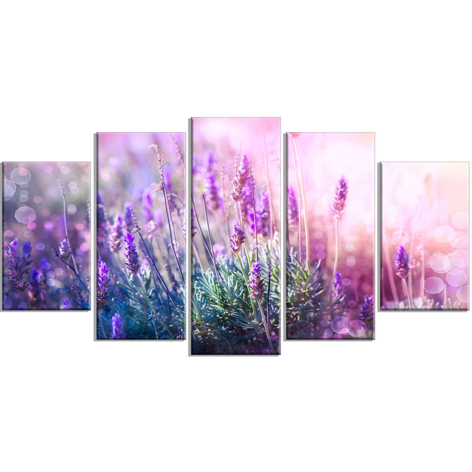 Tableau imprimé sur toile Design Art de photographie lavendre en fleur